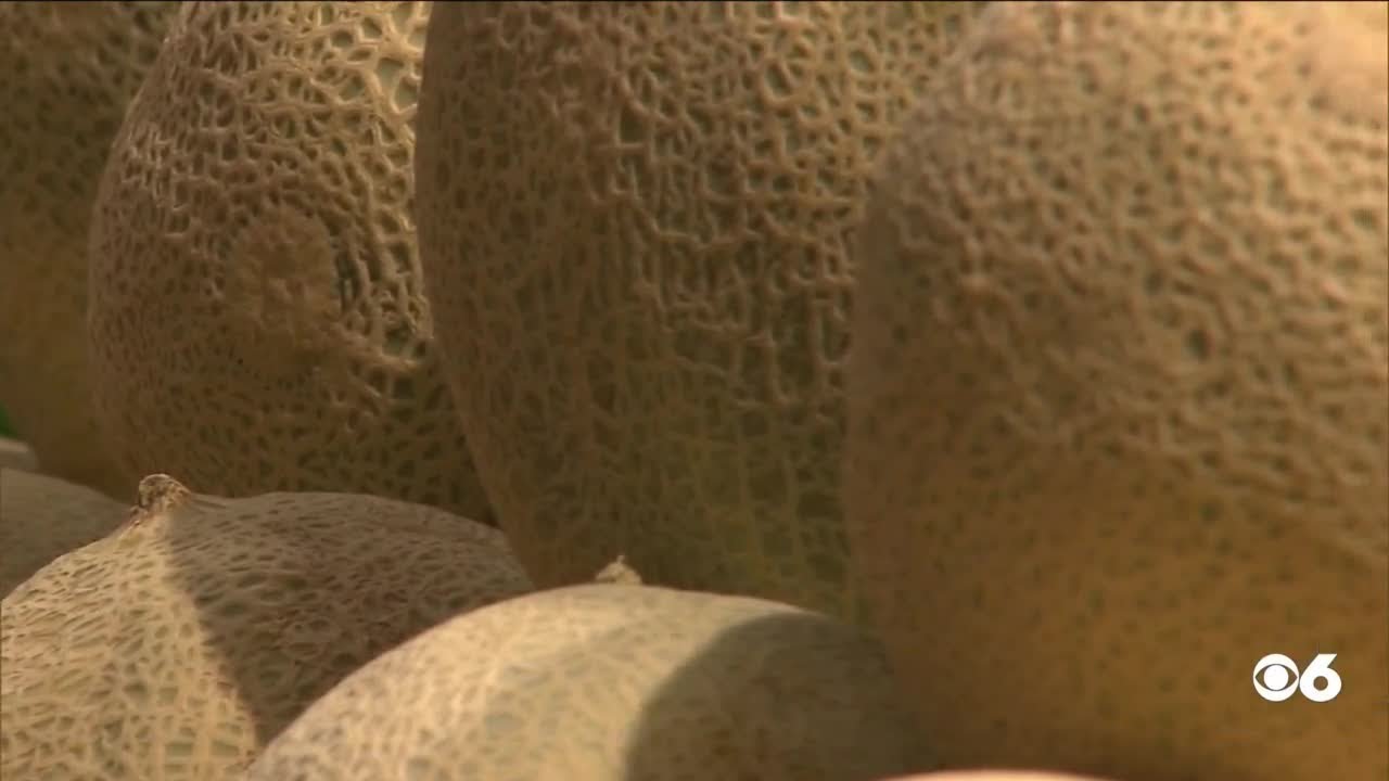 Third death in US reported in salmonella outbreak linked to cantaloupe