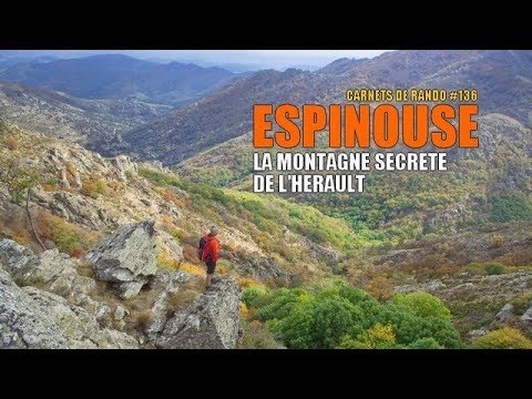 Vignette vidéo