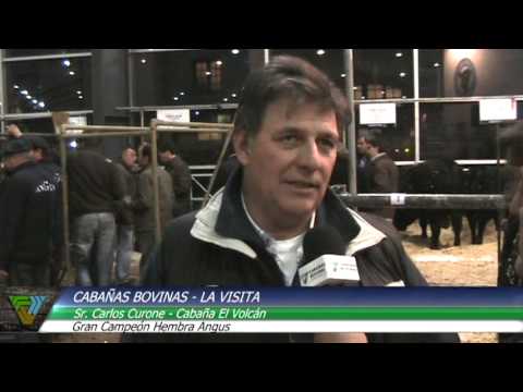 Cabañasbovinas.com - Palermo 2013 - Carlos Curone