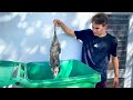 MYSTERIOUS ANIMAL FOUND LIVING IN MY TRASH CAN ! WHAT IS IT ?!