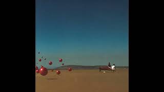 The Cranberries - Chocolate Brown