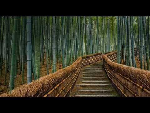 TODO ES POR NUESTRO BIEN.wmv