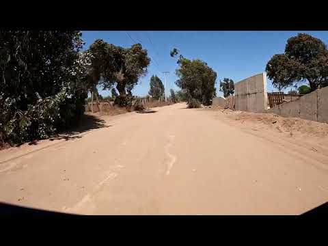 Camino "Ruperto Vinagre”. Cerro Tacna – Puchuncaví. Prov. de Valparaíso / Vta. Región - Chile.