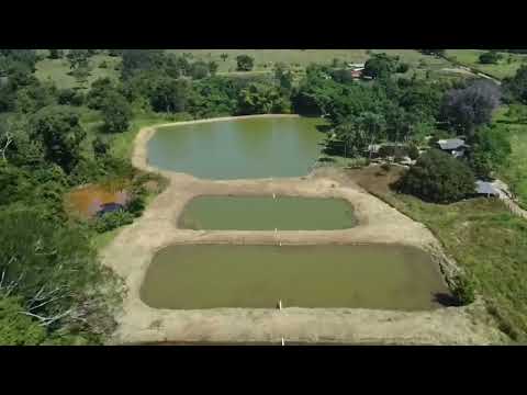 Chácara 8,6 ALQU VALOR 4.900.000 Próx PETROLINA de Goiás 62 981414270 ACEITA IMÓVEIS