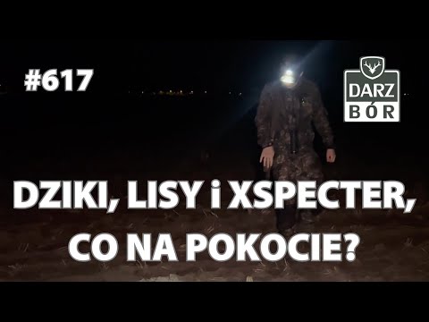Darz Bór 617 – Wiosenna kontrola upraw. Lisy dziki Pulsar Merger XT50 i XSPECTER, ale co na pokocie?