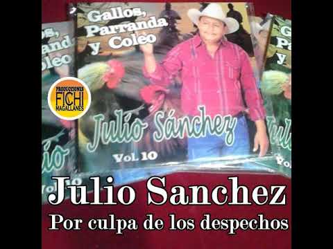 Julio Sanchez - Por culpa de los despechos