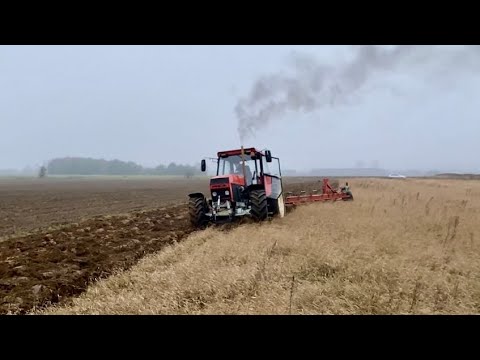 Ursus 1614 + Kverneland 8x50 or SPECIAL EPISODE!!! 🤯🤯🤯 + ORKA CHELLENGE for @szoko12