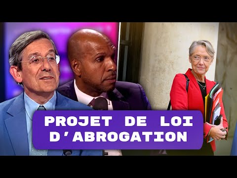 Le groupe qui fait trembler le gouvernement - avec Charles de Courson et Olivier Serva