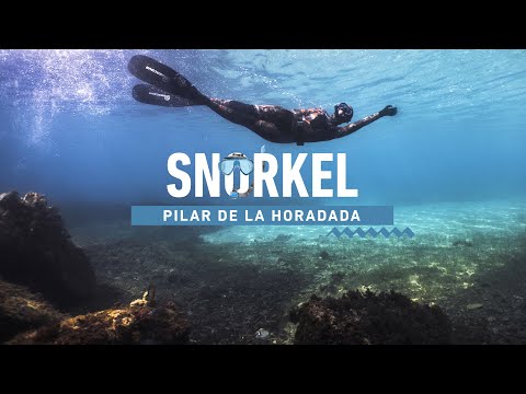 Sumérgete en las 4 rutas de snorkel en Pilar de la Horadada - Alicante