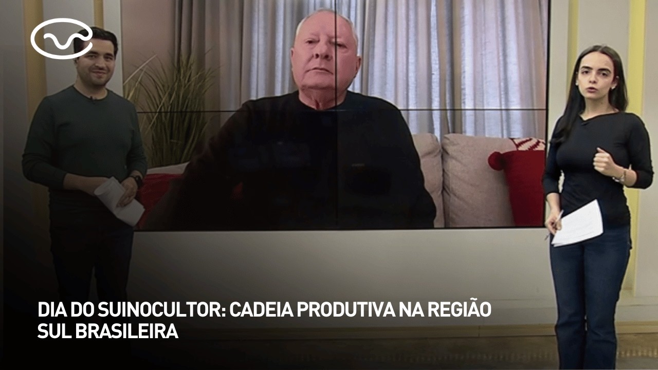 Dia do Suinocultor: cadeia produtiva na região sul brasileira