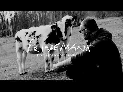 Friedemann - Ich mache meinen Frieden (Gundermann Cover)