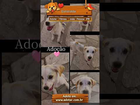 Vídeo de Esmeralda 