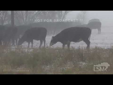 09-15-2023 Amistad, NM - Hail Covers The Highway