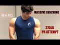 355LB+ Benching | New Bench PRs