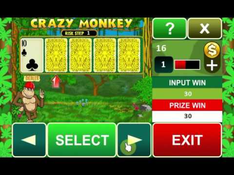 Crazy Monkey slot machine Video