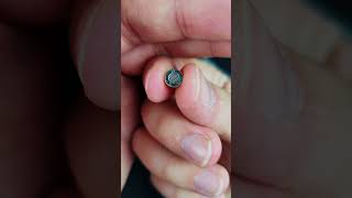 Download lagu One Earbud Quieter? Here's Why! mp3 Download lagu One Earbud Quieter? Here's Why! mp3