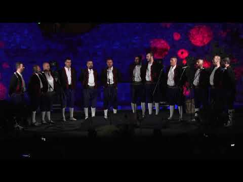 FINNS festival 2019 - Studenački bećari, Studenci