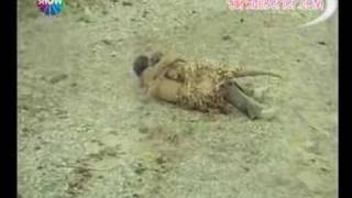 ilhan irem-yazık oldu yarınlara