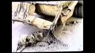 Skinny Puppy - Past present