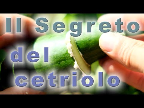 , title : 'Il Segreto del Cetriolo - Antica Tradizione - trucchi svelati dei cetrioli e coltivazione'