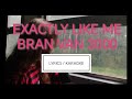 Bran Van 3000 (BV3) - Exactly Like Me - Lyrics / Karaoke