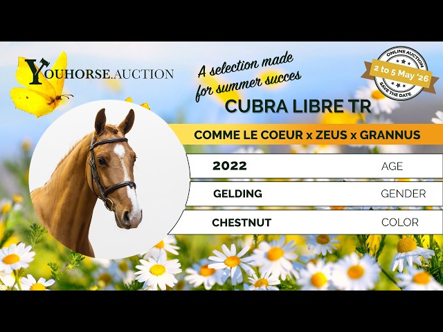 Cuba Libre