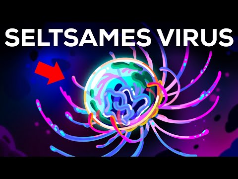 Dieses Virus verwirrt die Wissenschaft