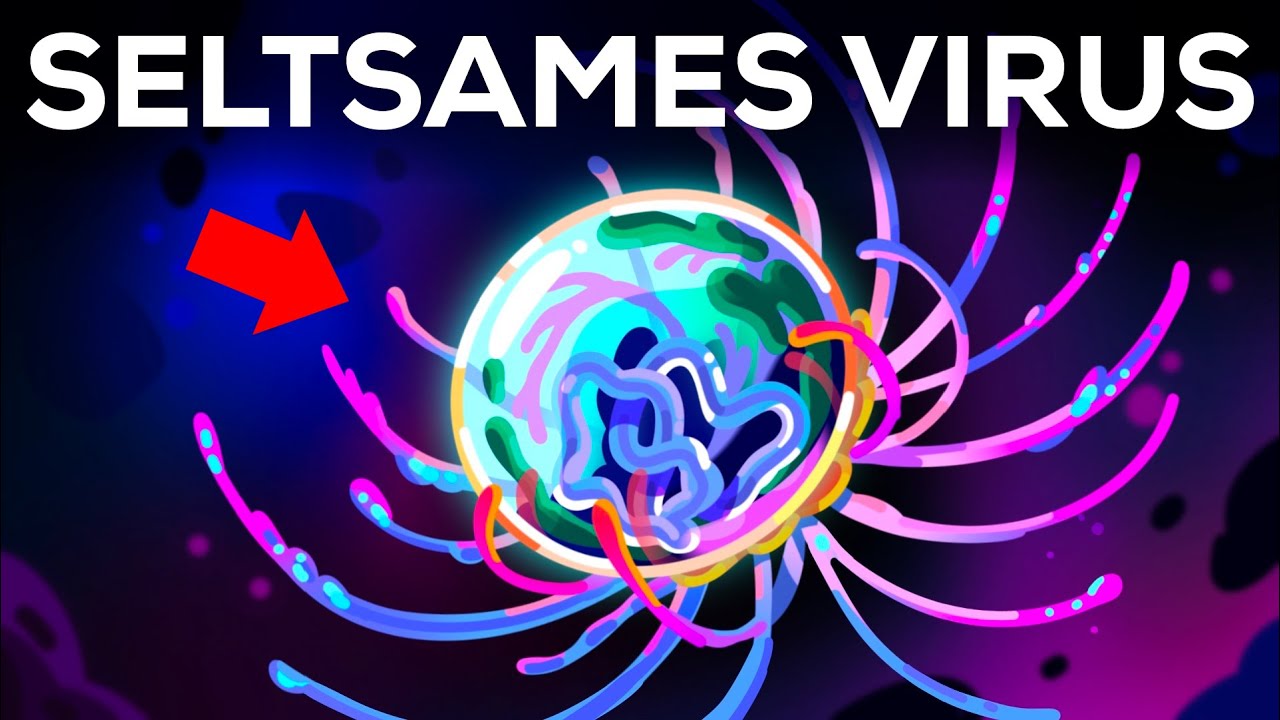 Dieses Virus verwirrt die Wissenschaft