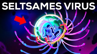 Dieses Virus verwirrt die Wissenschaft