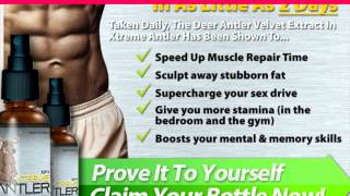Xtreme Antler|Extreme Antler