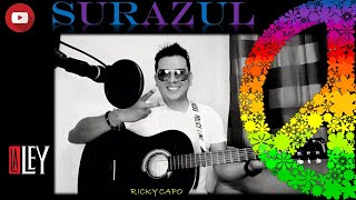 Surazul La Ley cover guitarra