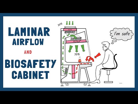 Working principle of Laminar Air Flow & Biosafety Cabinets