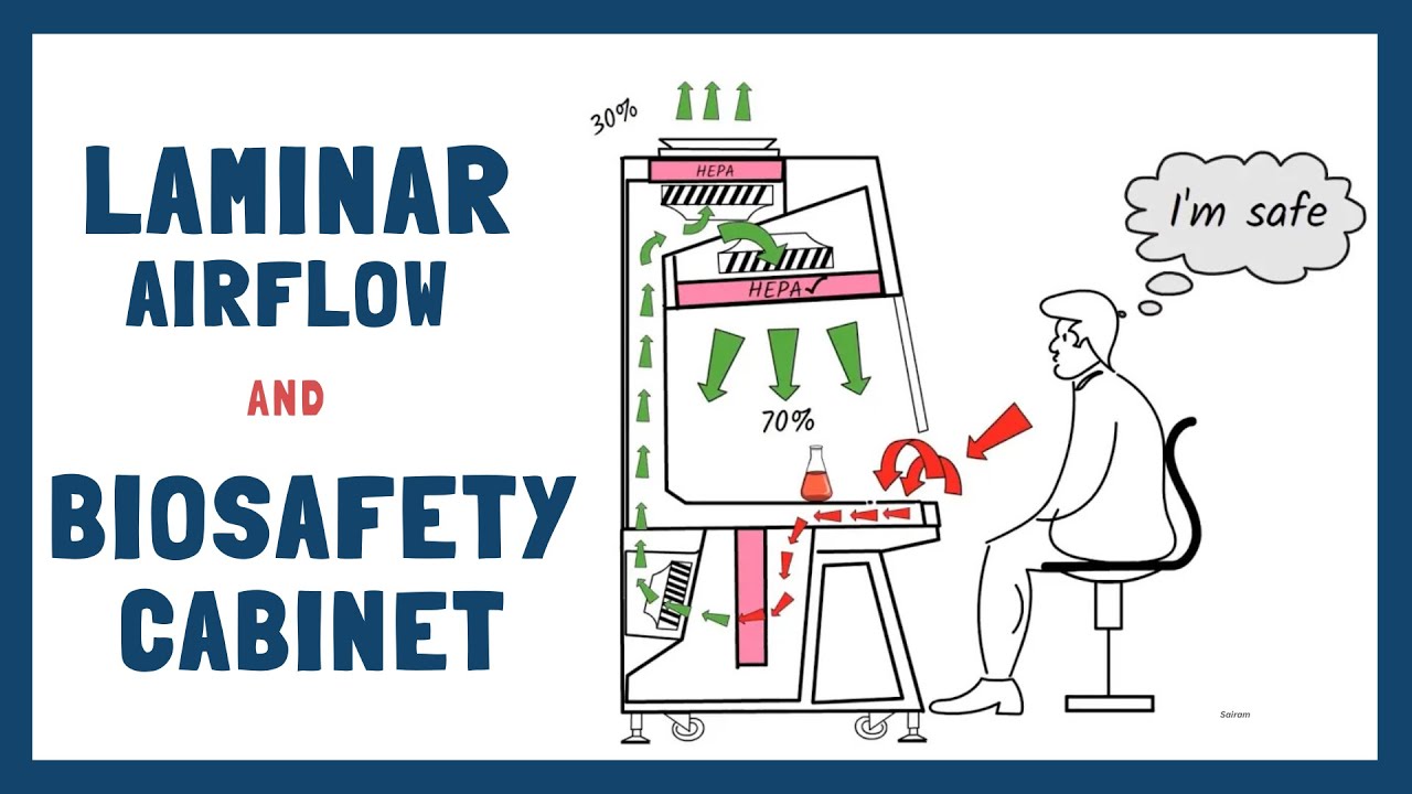 Working principle of Laminar Air Flow & Biosafety Cabinets