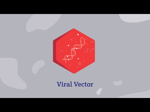 Viral Vectors Overview