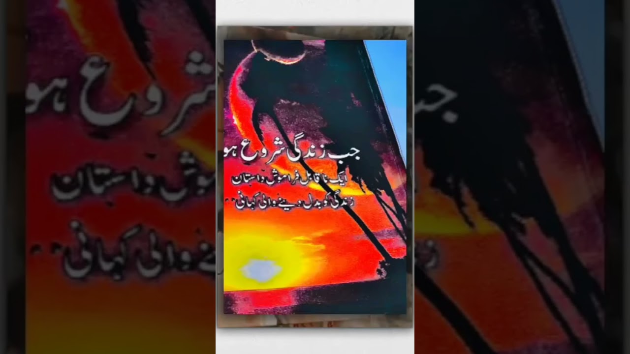 my love for these books is beyond infinity.. #books #novel #fiction #salarsikander #nemrahahmed