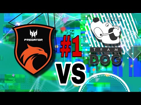 TNC vs TEAM DOG - GRAND FINAL - BTS Pro Series S4 | 2020 #part1