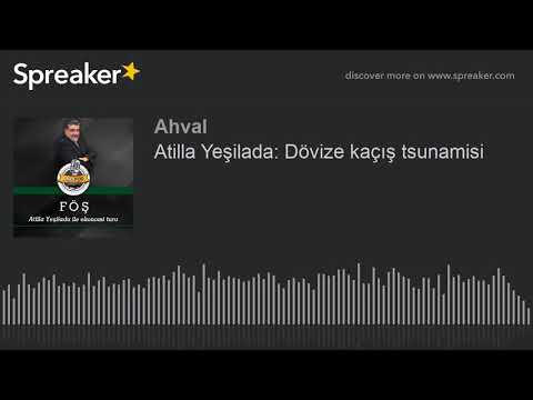 Atilla Yeşilada: Dövize kaçış tsunamisi