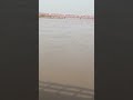 Bahawalpur Satluj River Shukr Hai Pani Km Huta Ja Rha Satluj Satlujflood