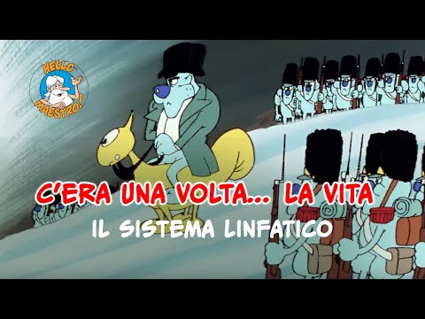 Siamo fatti così... la vita 🌱- Il sistema linfatico 🦵
