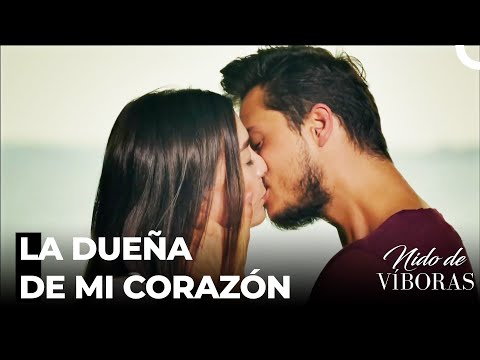 Cada Pulpo De Mi Corazón Es Para Ti - Nido De Víboras