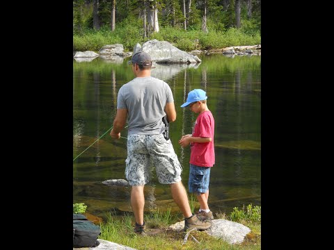 Calming Harp Radio #151