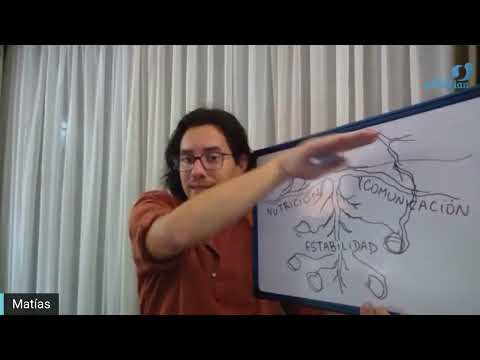 Día 347 - RAICES - Matias De Stefano - edición en español