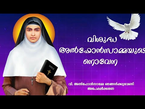 വിശുദ്ധ അൽഫോൻസാമ്മയുടെ നൊവേന | Novena of St. Alphonsa 🙏| Malayalam | New | St. Alphonsa Shrine |