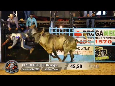 Herculândia Rodeo 2015 - BEST BULL