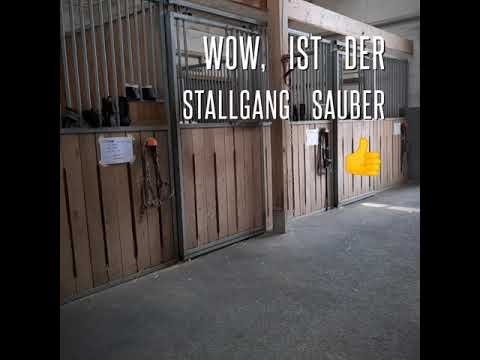 ZKV Future Lager im NPZ Bern - Die Fuhrhalterei