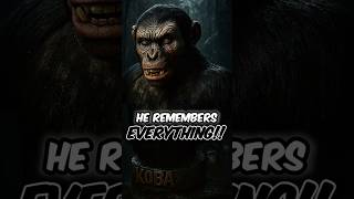 Download lagu The Rise of Koba – From Test Subject to Threat | Rise of the Planet of the Apes #movie #shorts mp3