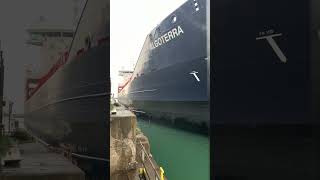 Algoterra Departs LOCK 7 in Thorold; Welland Canal 🇨🇦
