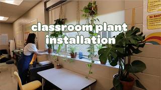 Installing Houseplants in My Friend's Classroom 🌿✏️