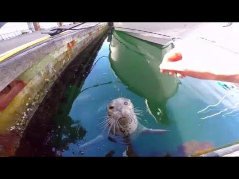 Explore the Pacific Northwest | Oregon & Washington