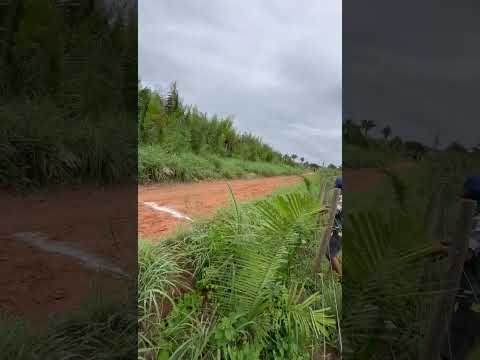 Burro passarinho e vaqueiro Raimundo Batista. Altamira do Maranhão.